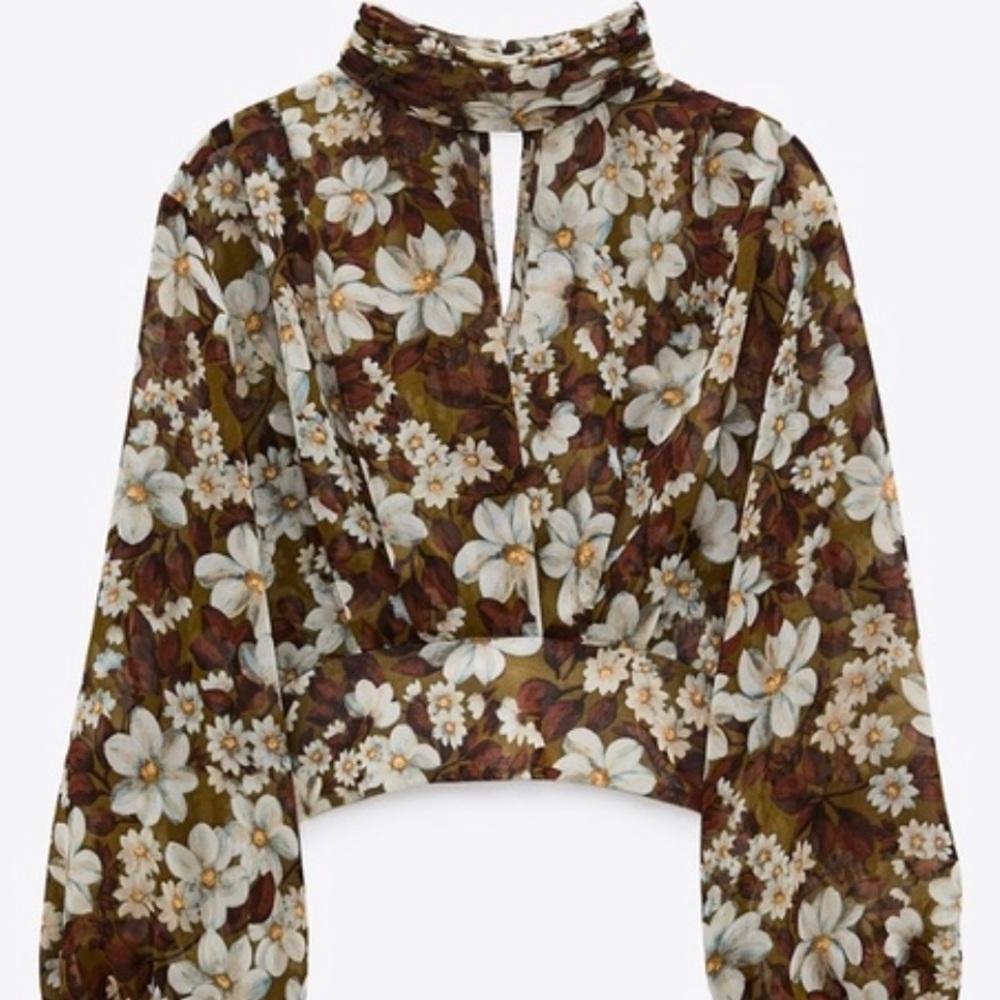 Floral cropped Fall 2020 chiffon brown top
